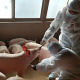 China-advierte-sobre-nuevo-virus-con-riesgo-de-pandemia