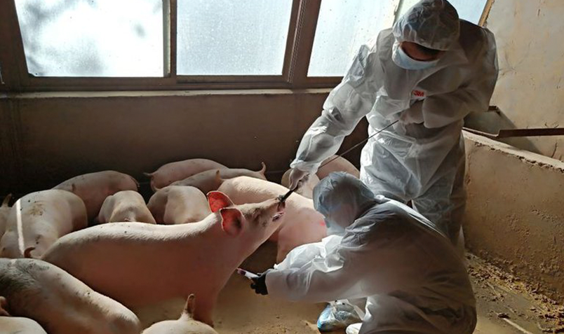 China-advierte-sobre-nuevo-virus-con-riesgo-de-pandemia