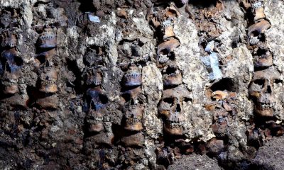 119 cráneos aztecas en el Templo Mayor, CDMX