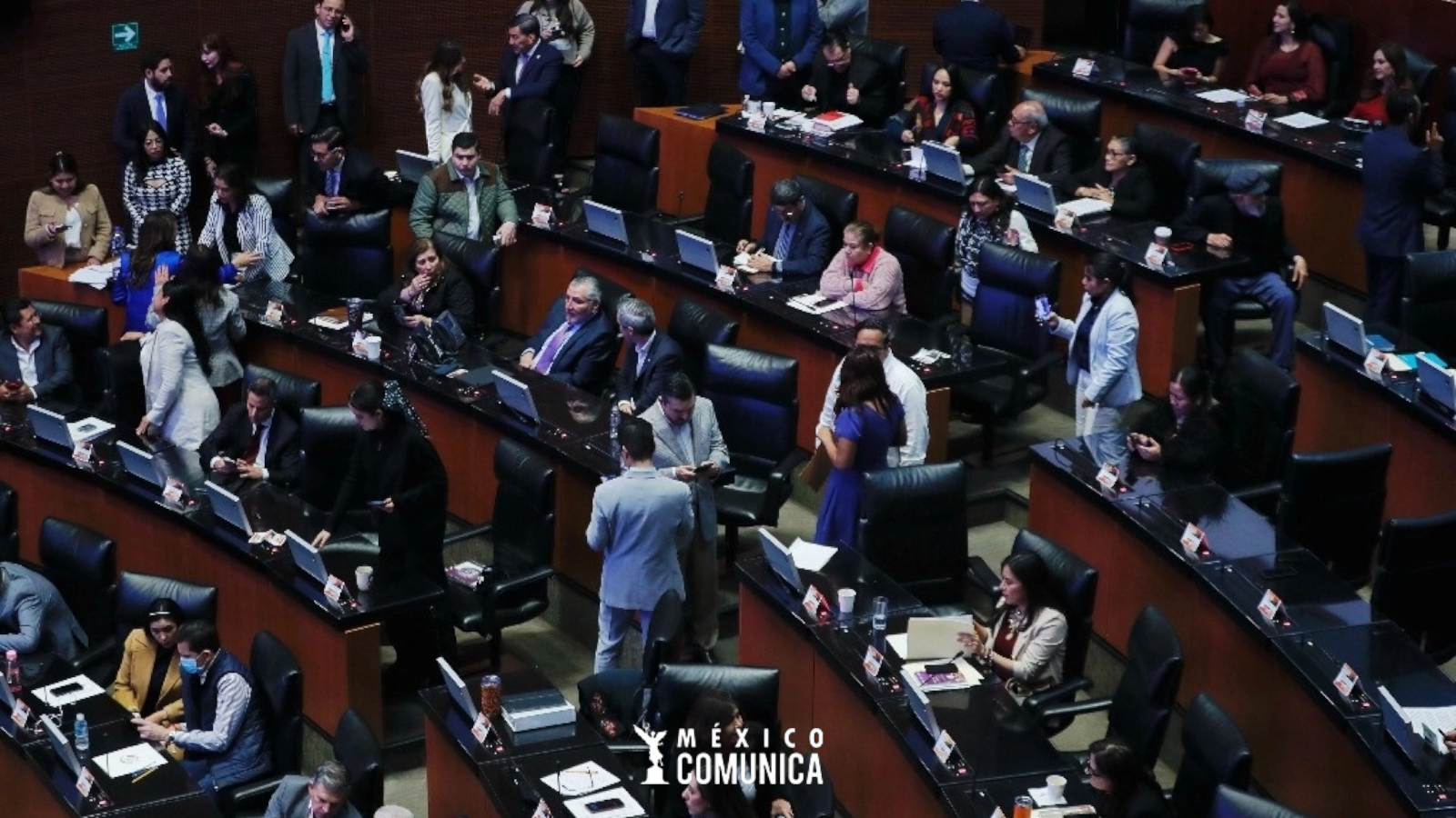 EL SENADO PROTEJE A LOS TRABAJADORES DE LAS APPS DE ENTREGA/ COMPRA Y VENTA EN INTERNET 36 PhotoRoom 20241212 205518