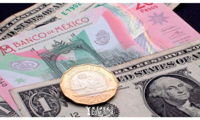 Imagen de WhatsApp 2025 01 31 a las 14.44.58 f0abe268