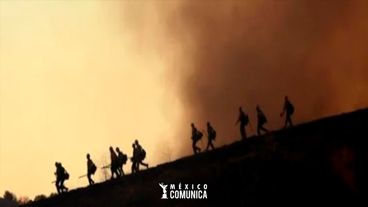 INCENDIO EN LOS ANGELES DEJA COMO SALDO 9 MIL ESTRUCTURAS DAÑADAS 36 logos 14