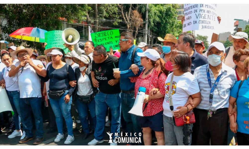 Imagen de WhatsApp 2025 02 10 a las 20.30.03 9375a012