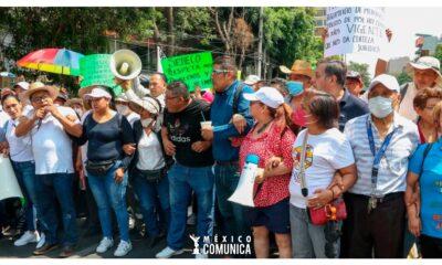 Imagen de WhatsApp 2025 02 10 a las 20.30.03 9375a012