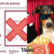Sitio Web 8