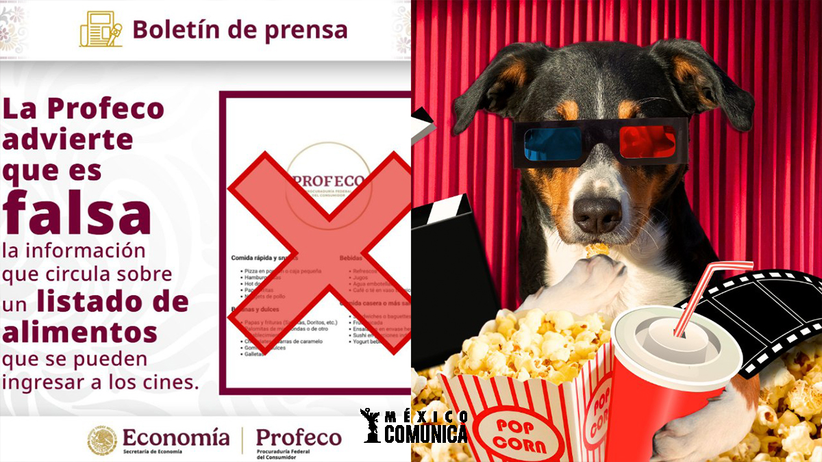 PROFECO ACLARA LAS MENTIRAS PUESTAS EN SU NOMBRE 36 Sitio Web 8