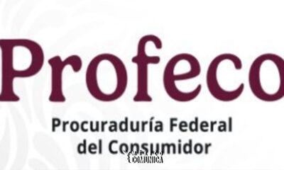 Sitio Web Recuperado 11
