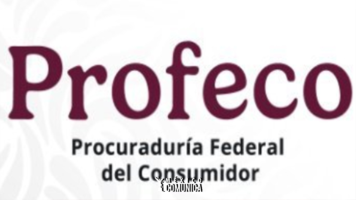 Del Escaparate a la Ciudad: La Agenda Bicéfala del Senador Ricardo Sheffield por el Consumidor y el Desarrollo Urbano 36 Sitio Web Recuperado 11