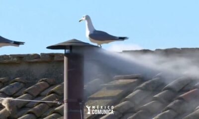 IMG 20250508 WA0164