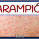 Sitio Web 17