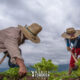 Sitio Web 27