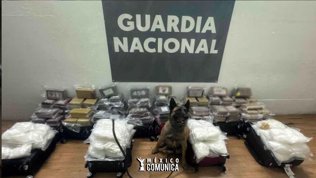 DECOMISO MILLONARIO EN TIJUANA: MUJERES ABANDONAN COCAÍNA Y METANFETAMINA EN AEROPUERTO 36 Sitio Web 66