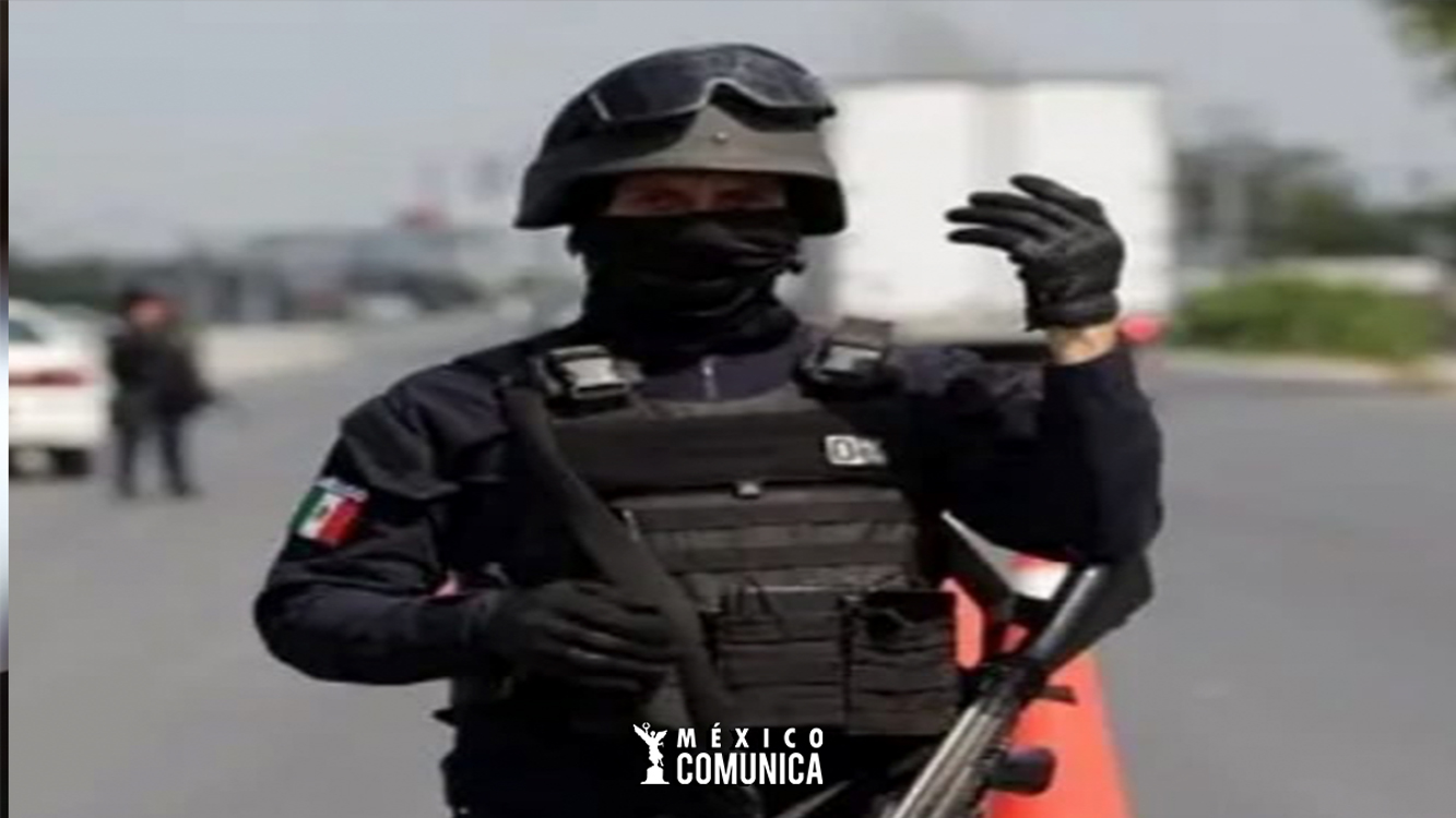 NUEVA LEY DE LA GUARDIA NACIONAL: BÚSQUEDA DE DESAPARECIDOS Y LGSNSP 36 Sitio Web 30