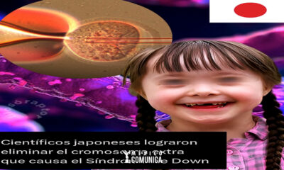 Sitio Web 31