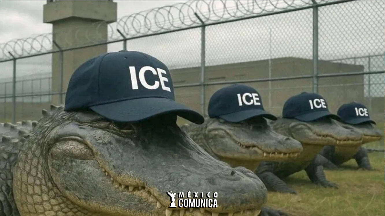 ALLIGATOR ALCATRAZ: LA POLÉMICA PRISIÓN MIGRANTE DE TRUMP EN LOS EVERGLADES 36 Sitio Web 4