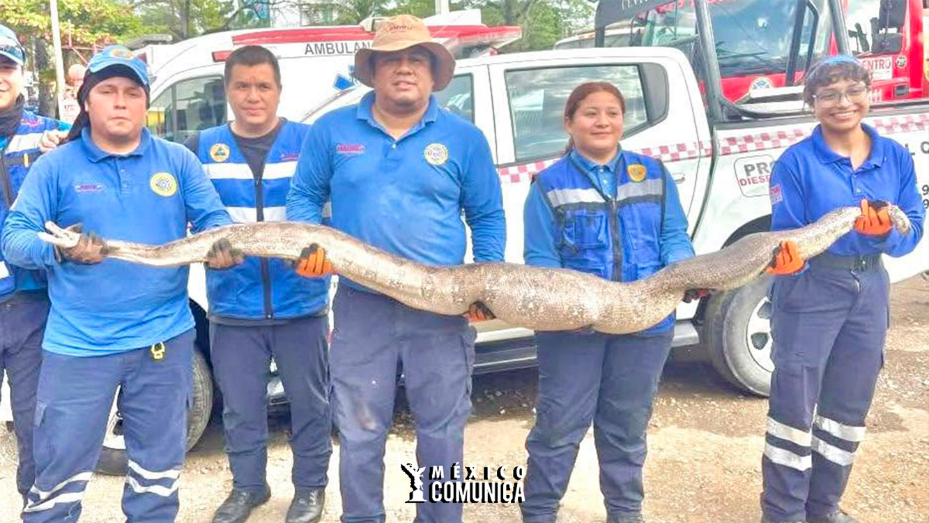 ALLIGATOR ALCATRAZ: LA POLÉMICA PRISIÓN MIGRANTE DE TRUMP EN LOS EVERGLADES DESATA ALARMA GLOBAL 36 Sitio Web 5