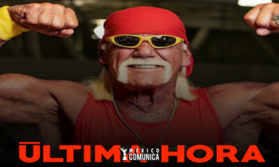 FALLECE HULK HOGAN, LEYENDA DE LA LUCHA LIBRE, A LOS 71 AÑOS TRAS SUFRIR UN PARO CARDIACO 48 Sitio Web 61