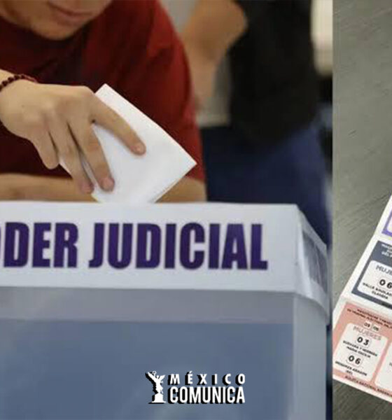 El INE Impone Fuertes Multas por "Acordeones" en la Elección Judicial: Un Debate sobre la Fiscalización y la Equidad 37 Sitio Web 82
