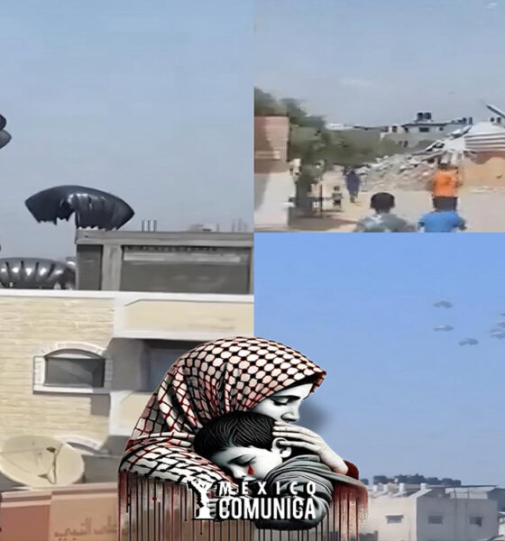 Ayuda Humanitaria desde el Cielo: Esfuerzo Conjunto para Gaza 37 Sitio Web 84
